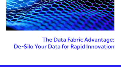 Data Fabric Advantage Guide2