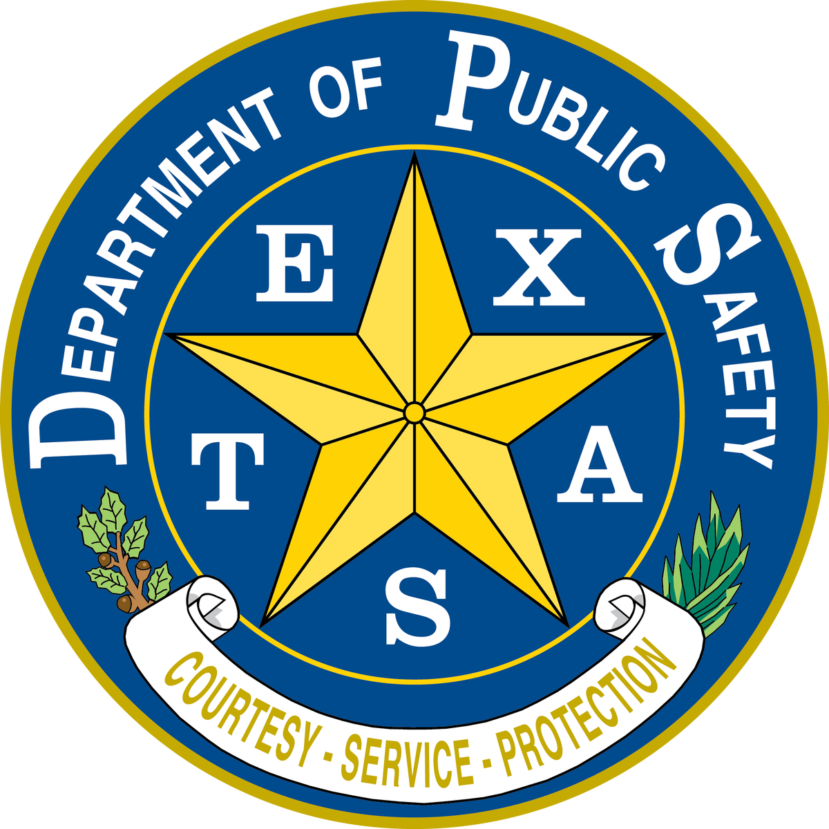 Texas Department of Public Safety Appian