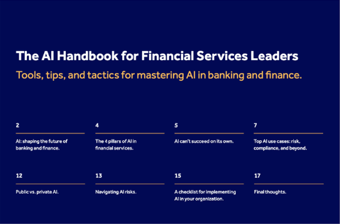 FS AI Handbook