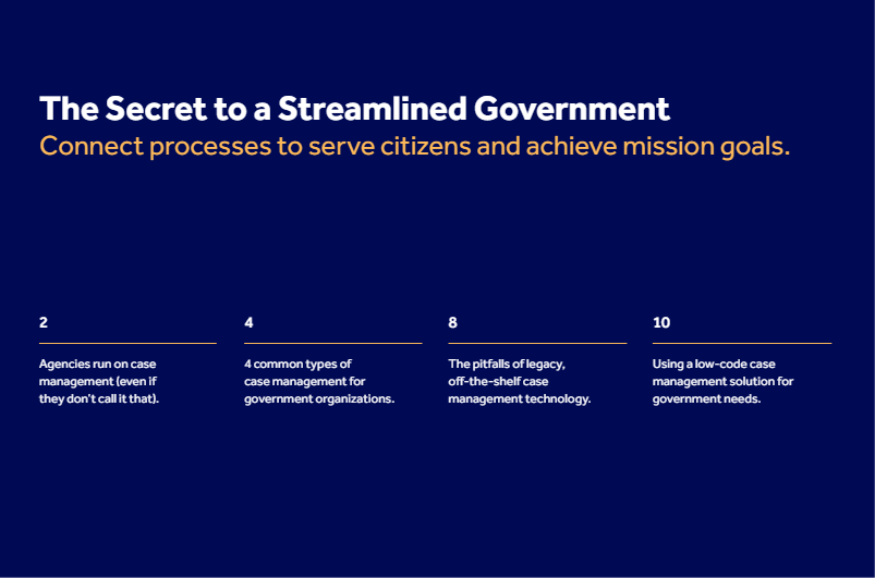 Secret To A Streamlined Government EBook