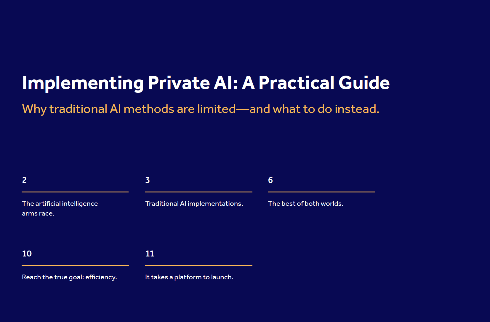 Private AI eBook