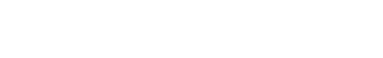 University of South Florida weißes Logo
