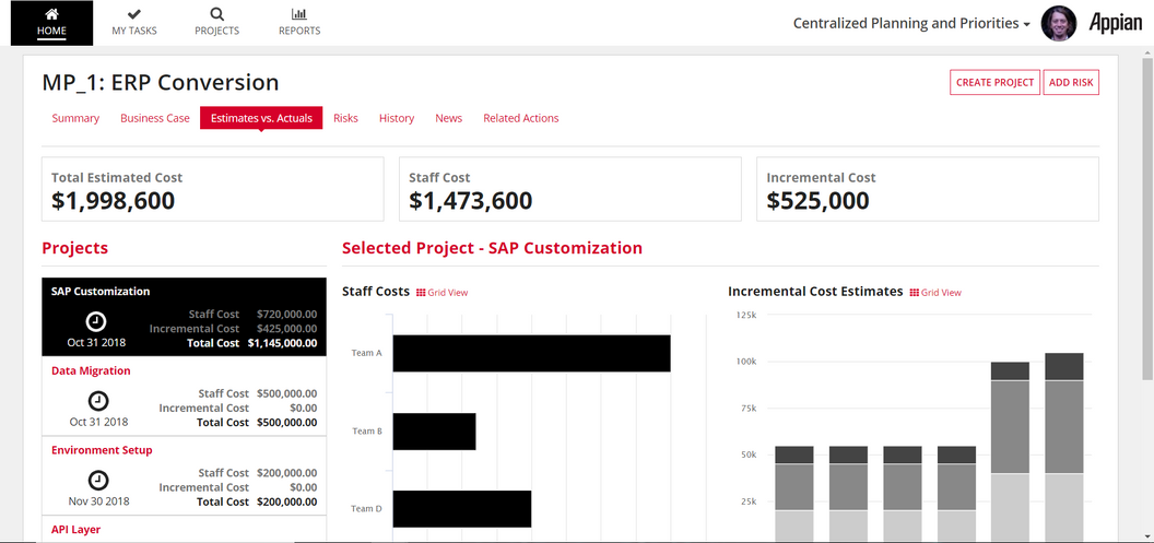 appian project management office erp conversion project dashboard