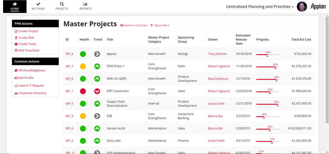 appian project management office master projects list