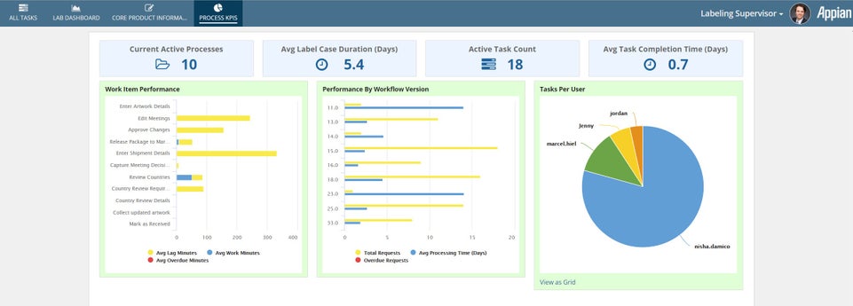 appian labeling process and materials management process kpis report dashboard